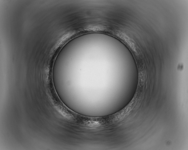 X0000098190159200805011132
