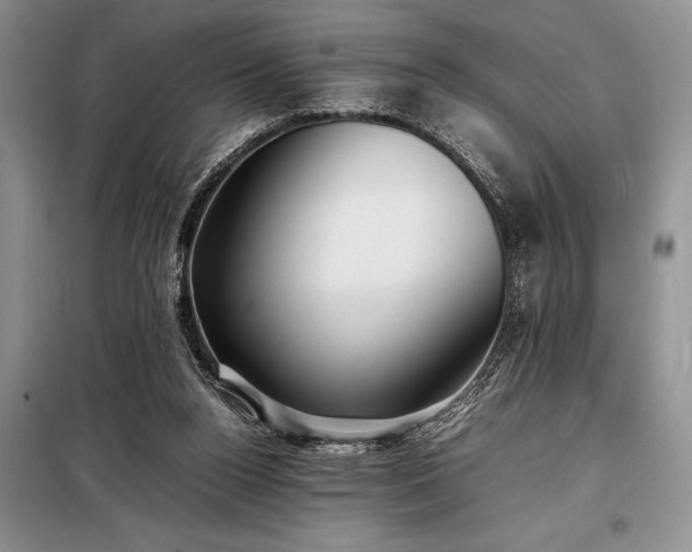 X0000098190160200805011132