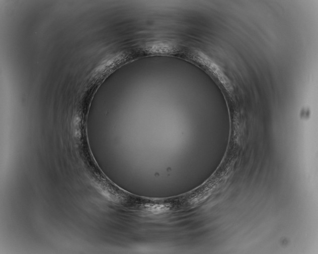 X0000098190161200805011132