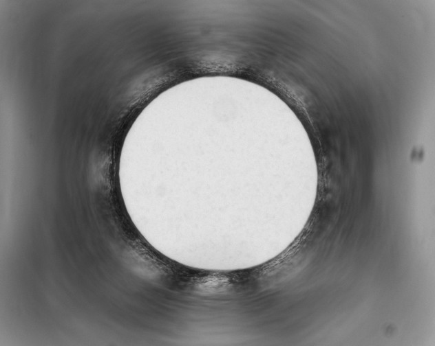 X0000098190162200805011132