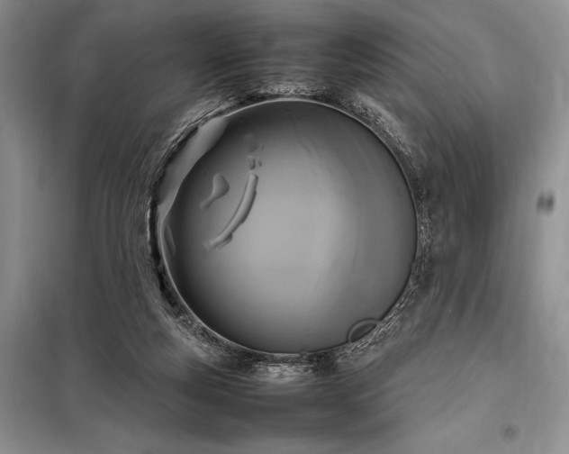 X0000098190163200805011132