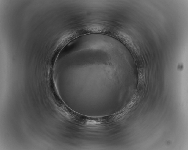X0000098190167200805011132