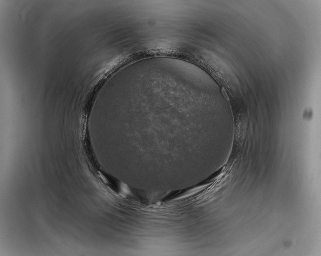 X0000098190168200805011132