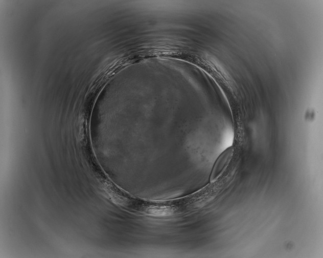 X0000098190169200805011132