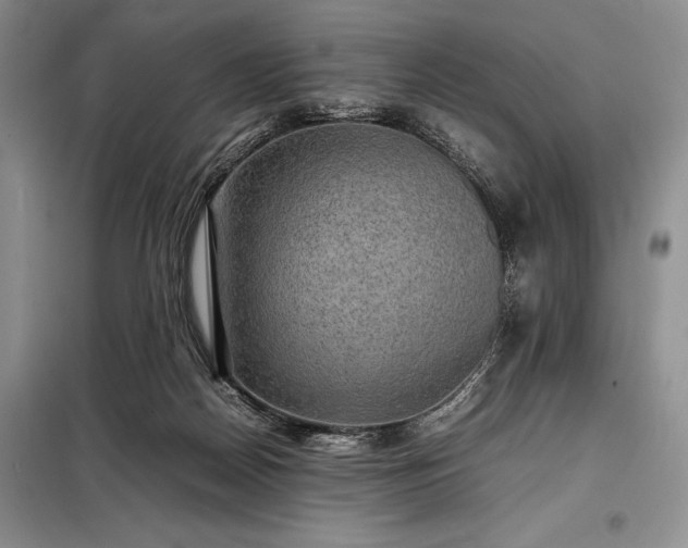 X0000098190170200805011132