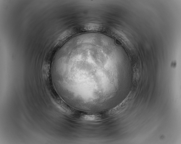 X0000098190171200805011132