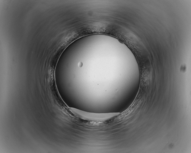 X0000098190172200805011132