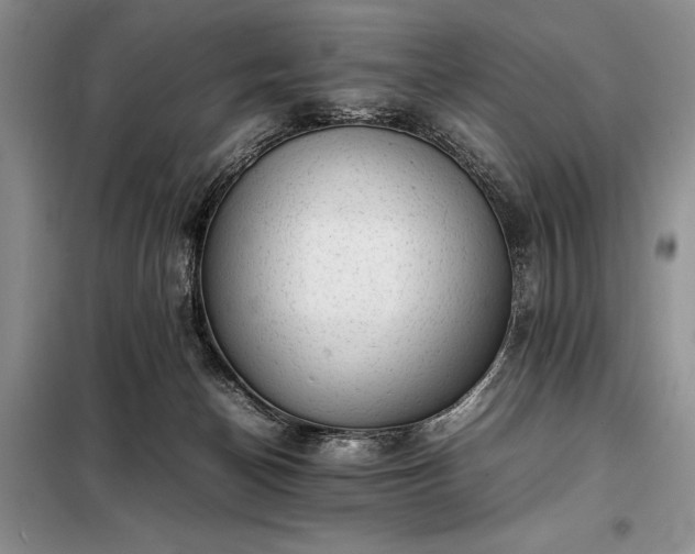 X0000098190174200805011132