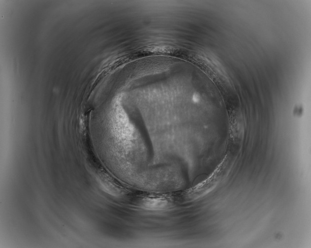 X0000098190175200805011132