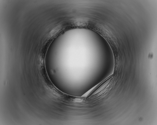 X0000098190176200805011132