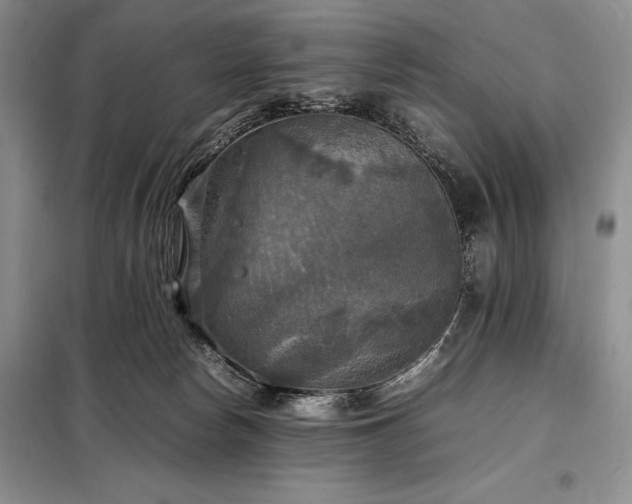 X0000098190178200805011132