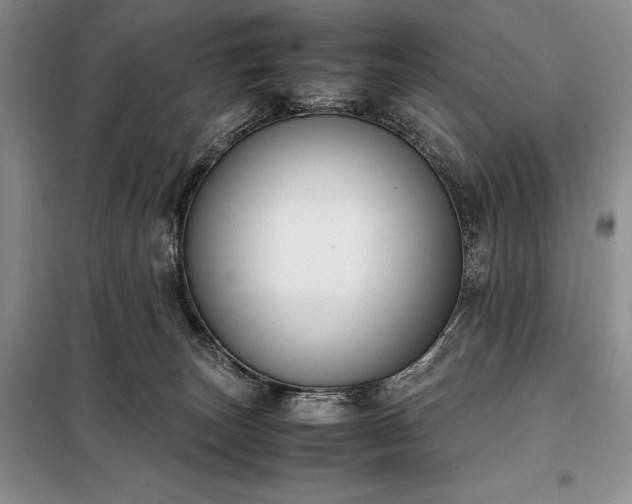 X0000098190179200805011132