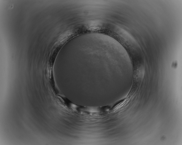 X0000098190180200805011132