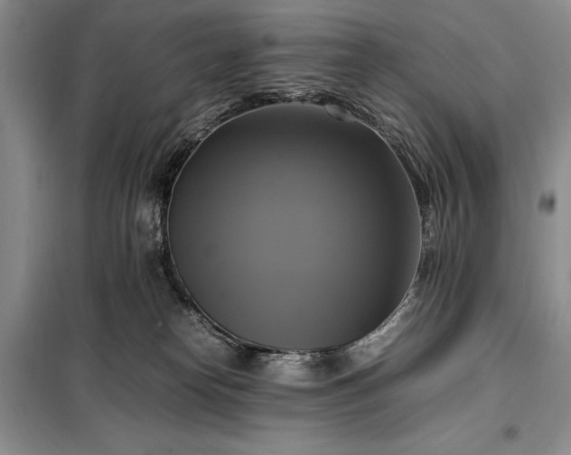 X0000098190182200805011132