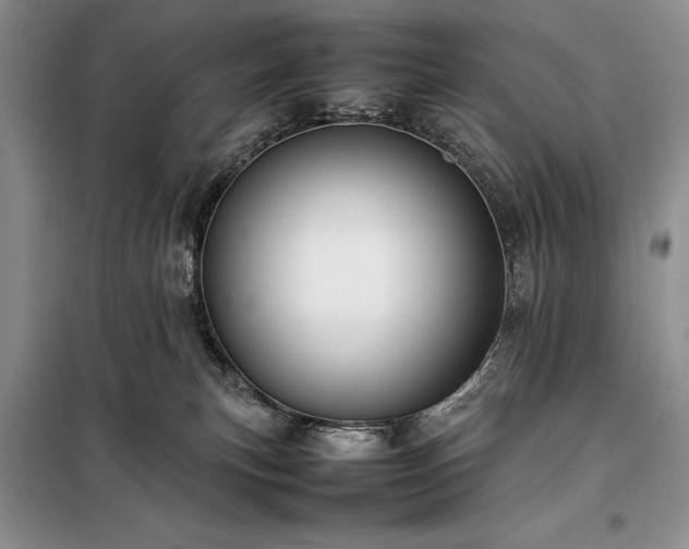 X0000098190183200805011132