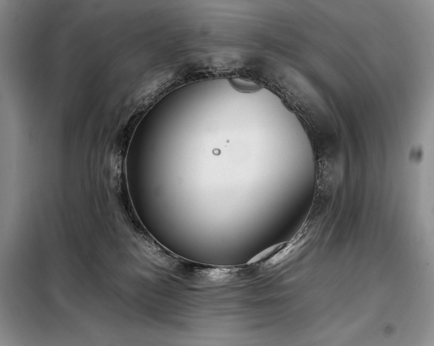 X0000098190184200805011132
