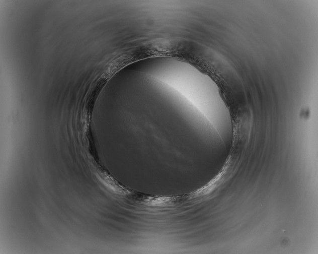 X0000098190186200805011132