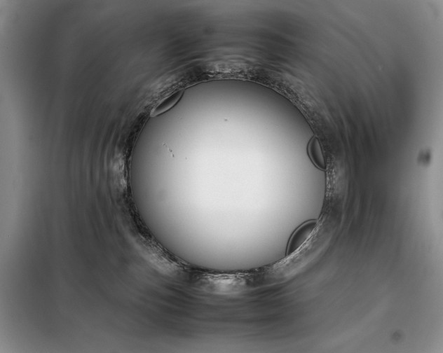 X0000098190187200805011132