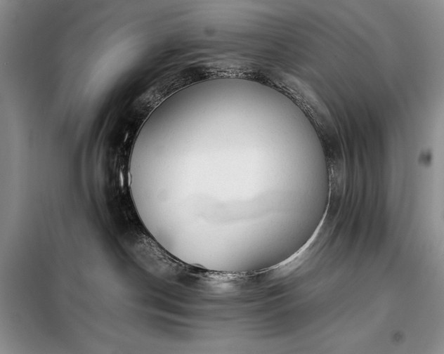 X0000098190190200805011132
