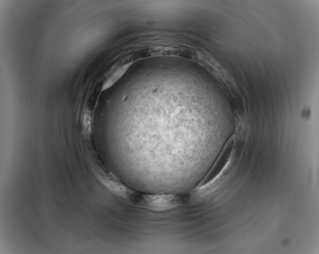 X0000098190191200805011132