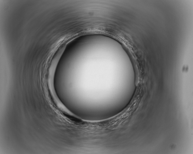 X0000098190193200805011131