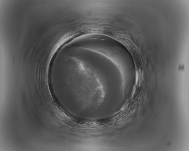 X0000098190195200805011131