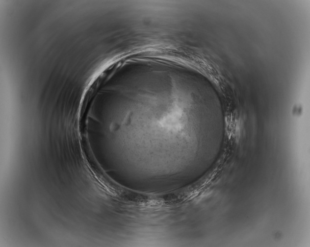 X0000098190196200805011131
