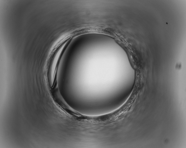 X0000098190197200805011131