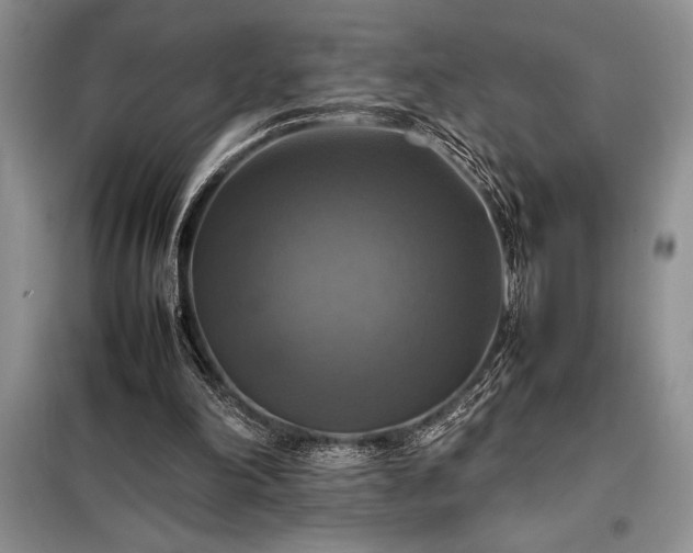 X0000098190198200805011131