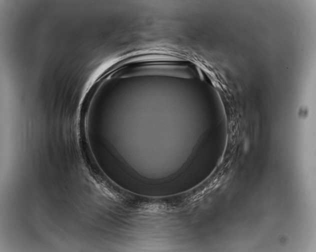 X0000098190200200805011131
