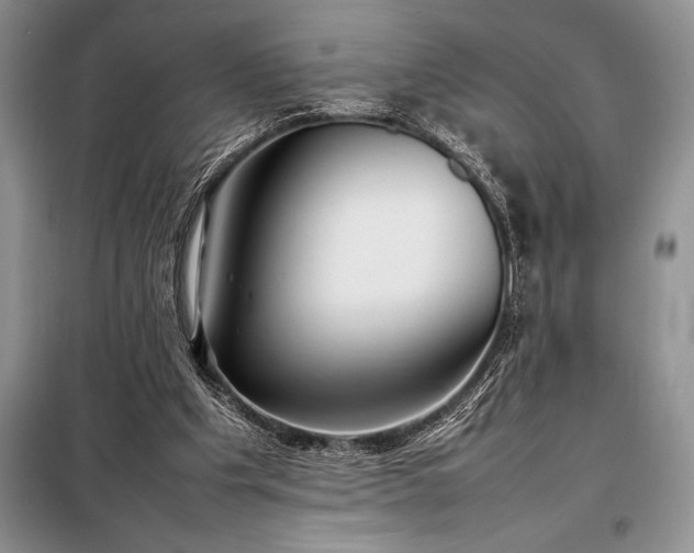 X0000098190201200805011131