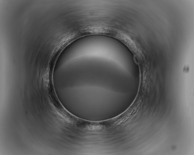 X0000098190202200805011131