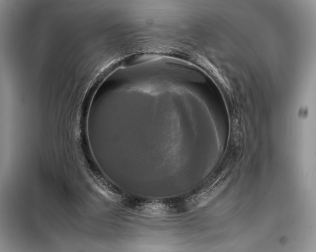 X0000098190203200805011131