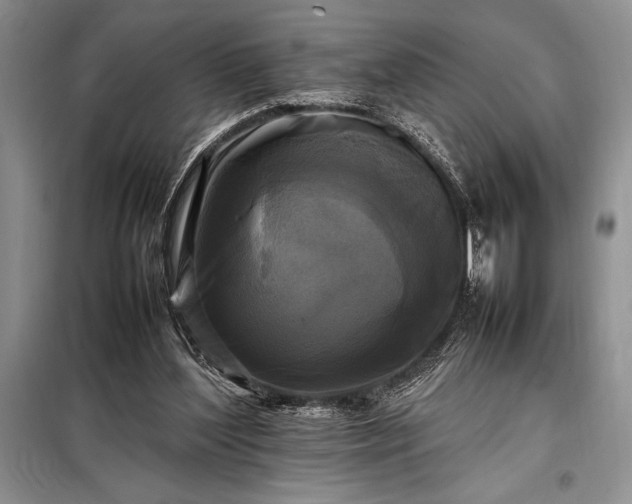 X0000098190204200805011131