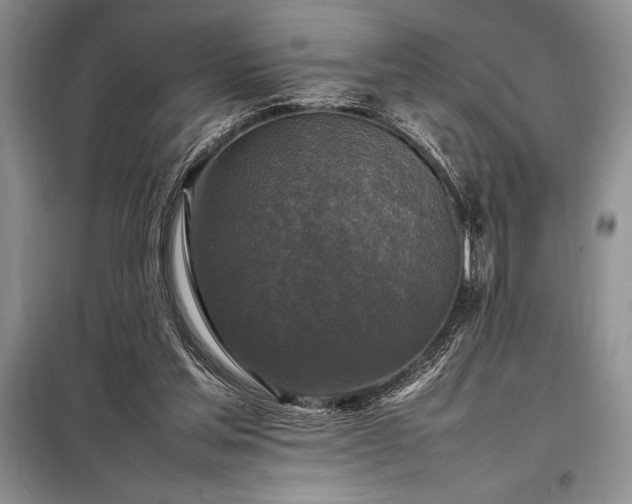X0000098190205200805011131