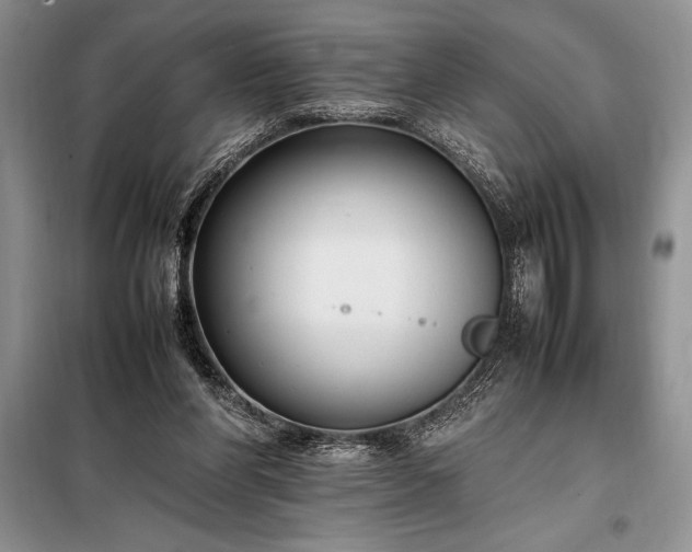 X0000098190206200805011131