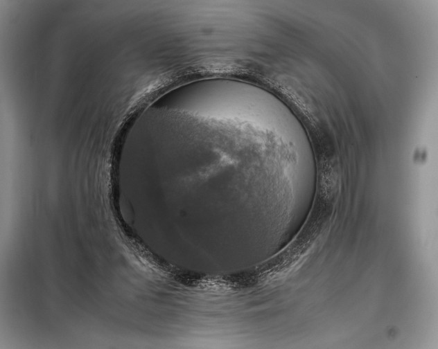 X0000098190207200805011131
