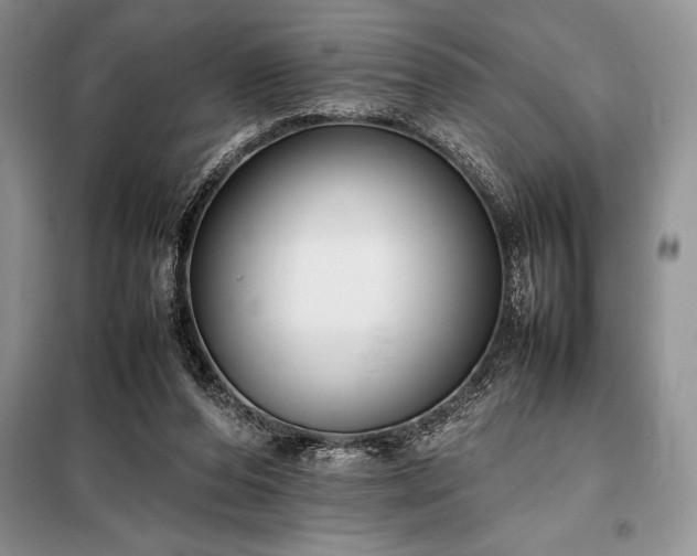 X0000098190208200805011131