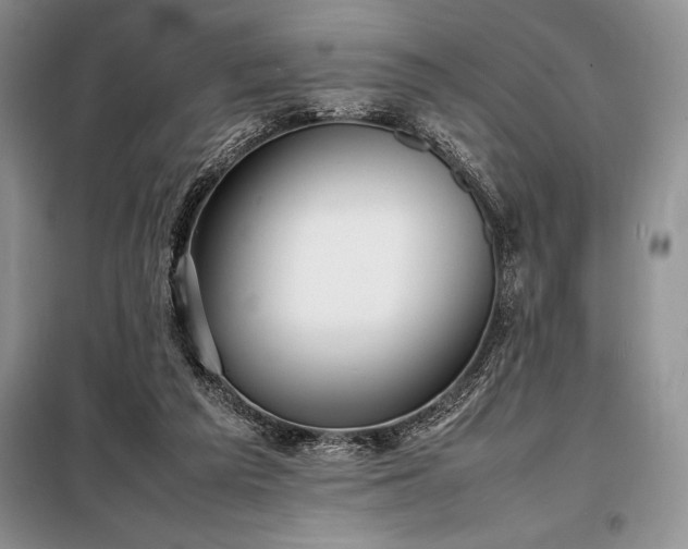 X0000098190209200805011131