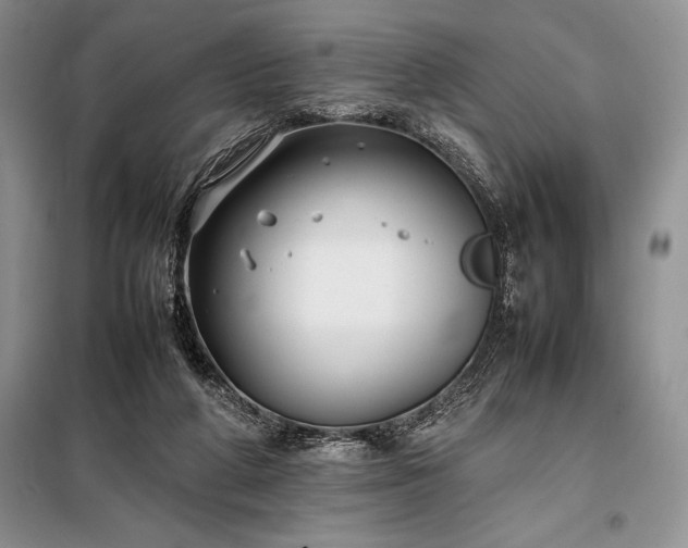 X0000098190210200805011131
