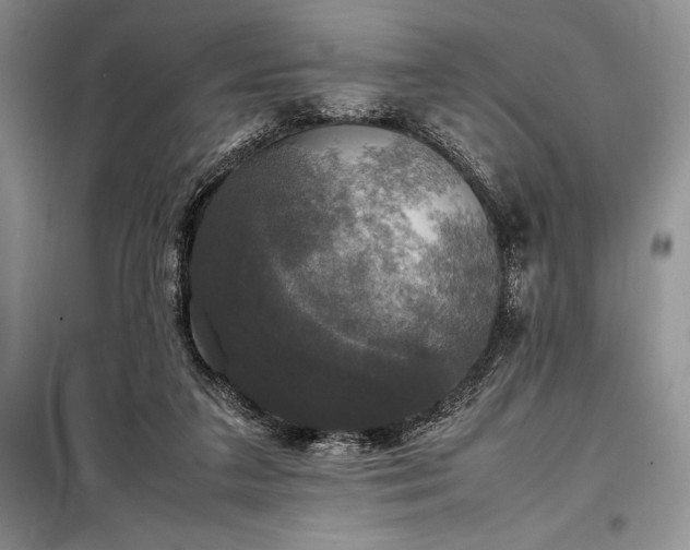 X0000098190211200805011131
