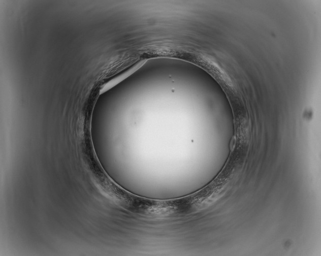 X0000098190213200805011131