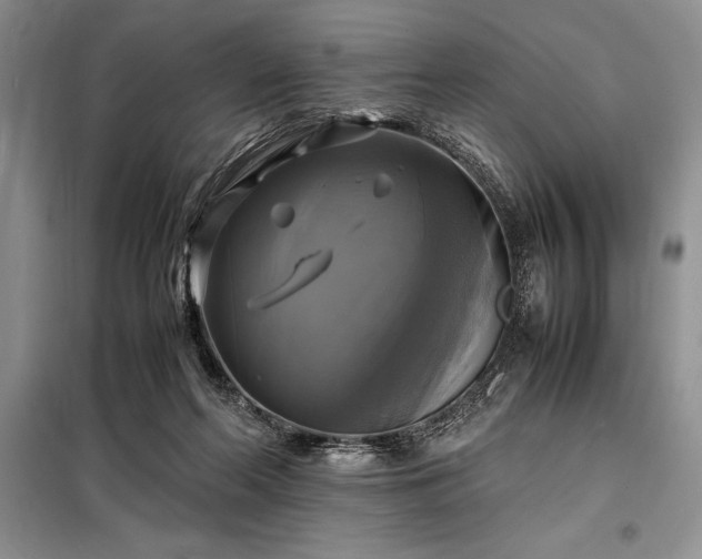 X0000098190214200805011131