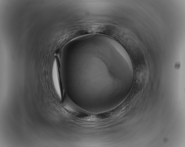 X0000098190219200805011131