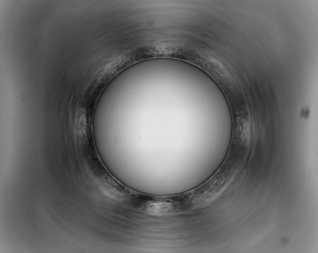 X0000098190220200805011131