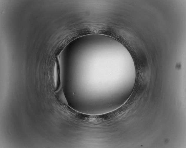 X0000098190221200805011131