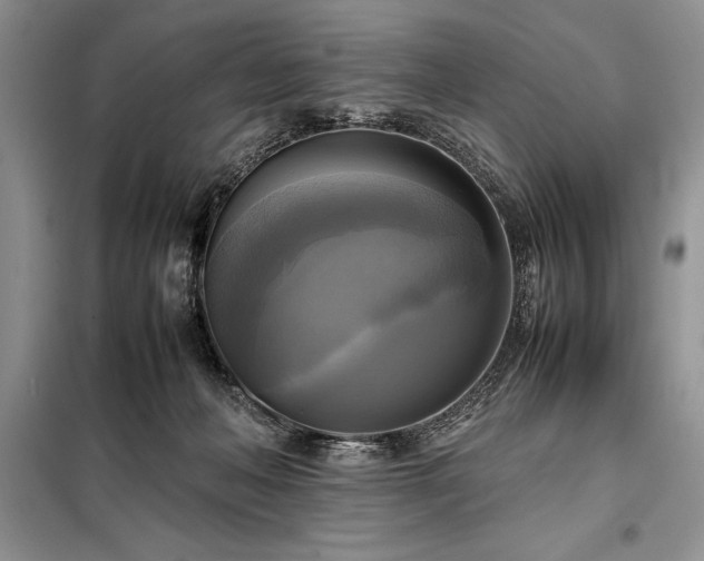 X0000098190222200805011131
