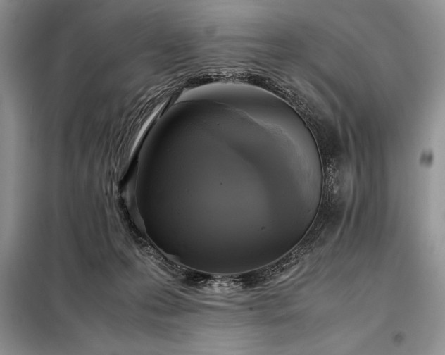X0000098190223200805011131