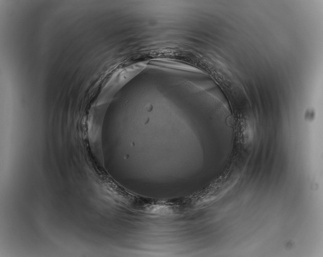 X0000098190224200805011131