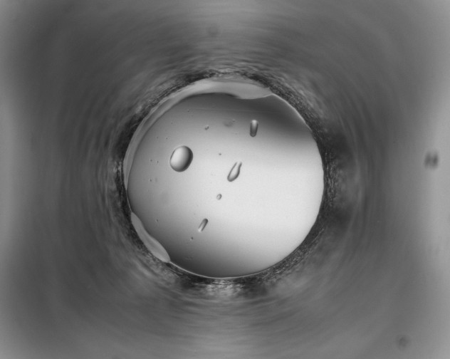 X0000098190225200805011131